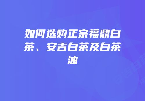 如何选购正宗福鼎白茶、安吉白茶及白茶油