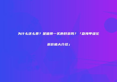 为什么这么贵？是值得一买的好茶吗？「勐海甲级沱茶价格大介绍」