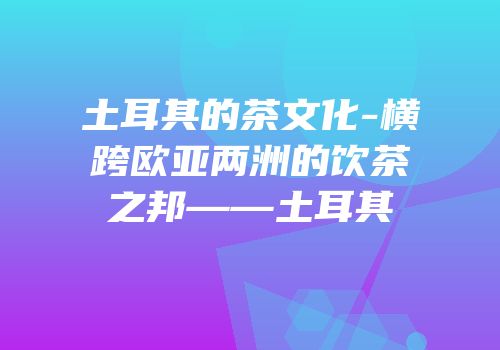 土耳其的茶文化-横跨欧亚两洲的饮茶之邦——土耳其