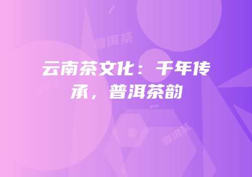 云南茶文化：千年传承，普洱茶韵