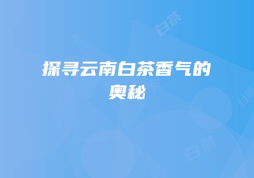 探寻云南白茶香气的奥秘