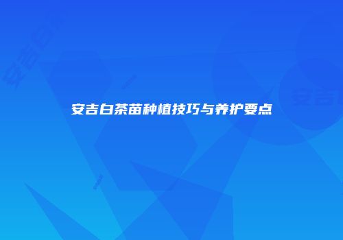 安吉白茶苗种植技巧与养护要点