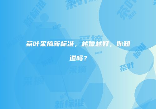 茶叶采摘新标准，越嫩越好，你知道吗？