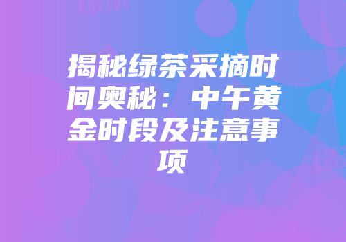 揭秘绿茶采摘时间奥秘：中午黄金时段及注意事项