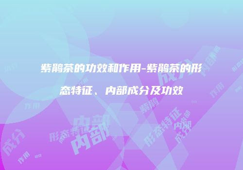 紫鹃茶的功效和作用-紫鹃茶的形态特征、内部成分及功效
