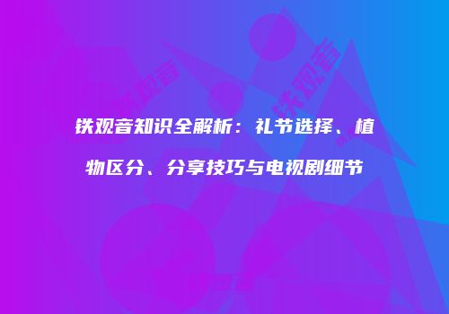 铁观音知识全解析：礼节选择、植物区分、分享技巧与电视剧细节