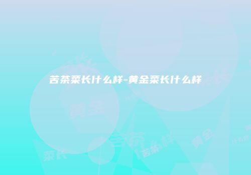 苦茶菜长什么样-黄金菜长什么样