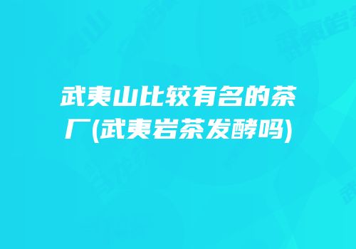 武夷山比较有名的茶厂(武夷岩茶发酵吗)