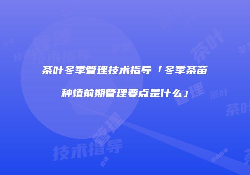 茶叶冬季管理技术指导「冬季茶苗种植前期管理要点是什么」