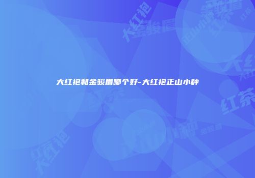 大红袍和金骏眉哪个好-大红袍正山小种