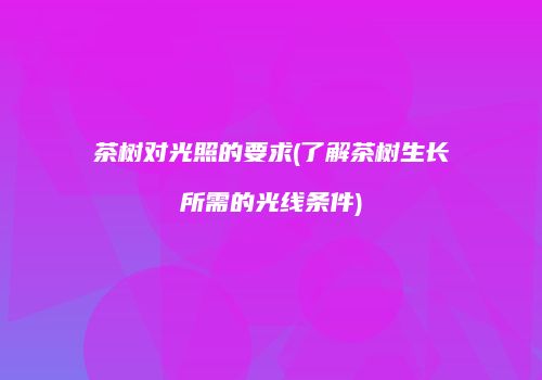 茶树对光照的要求(了解茶树生长所需的光线条件)