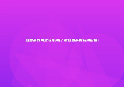 白雪茶的功效与作用(了解白雪茶的药用价值)