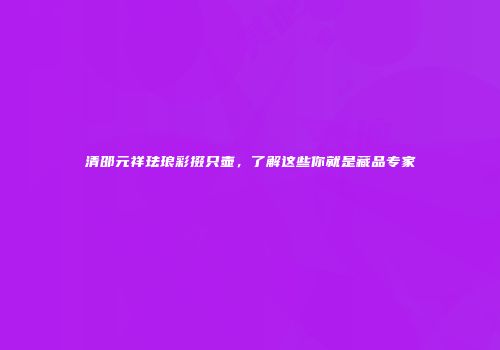 清邵元祥珐琅彩掇只壶，了解这些你就是藏品专家