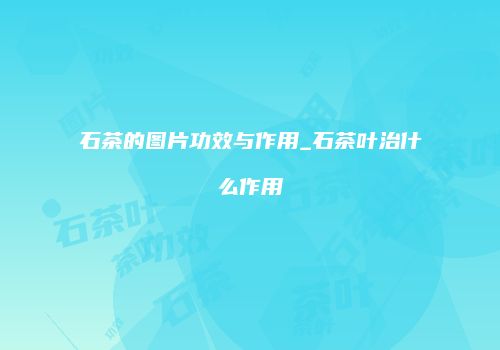 石茶的图片功效与作用_石茶叶治什么作用