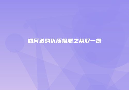 如何选购优质相思之茶取一撮