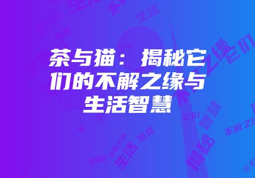 茶与猫：揭秘它们的不解之缘与生活智慧