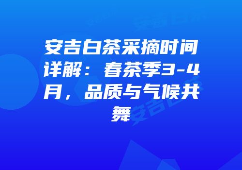 安吉白茶采摘时间详解：春茶季3-4月，品质与气候共舞