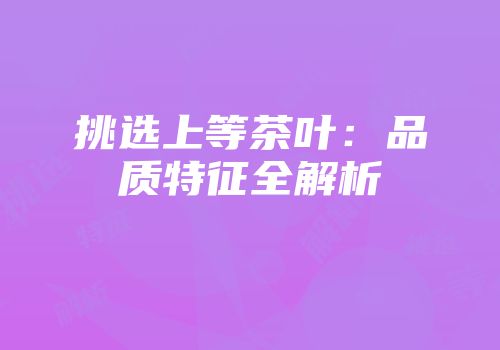 挑选上等茶叶：品质特征全解析