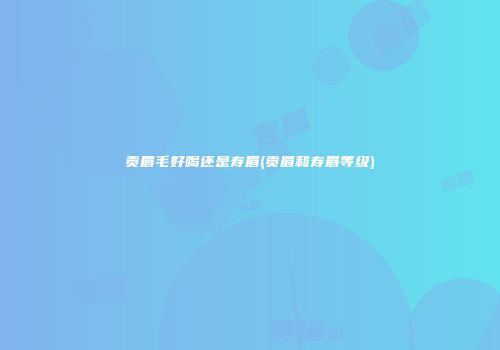 贡眉毛好喝还是寿眉(贡眉和寿眉等级)