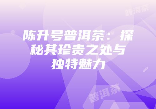 陈升号普洱茶：探秘其珍贵之处与独特魅力