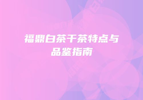 福鼎白茶干茶特点与品鉴指南