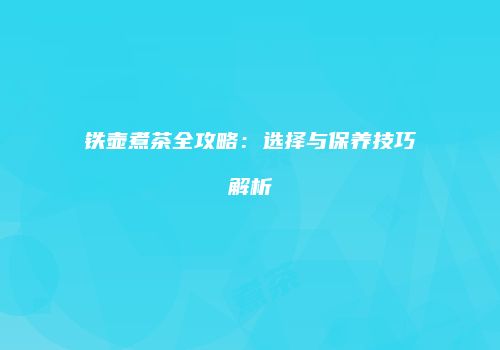 铁壶煮茶全攻略：选择与保养技巧解析