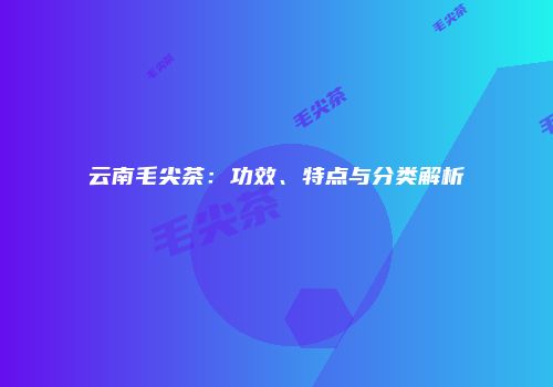 云南毛尖茶：功效、特点与分类解析