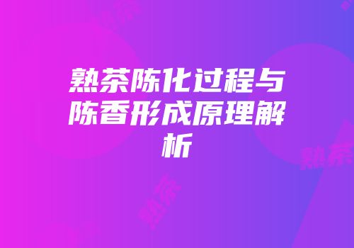 熟茶陈化过程与陈香形成原理解析