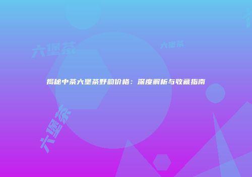 揭秘中茶六堡茶野韵价格：深度解析与收藏指南