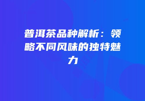 普洱茶品种解析：领略不同风味的独特魅力