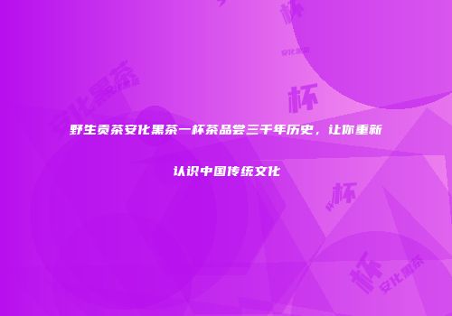 野生贡茶安化黑茶一杯茶品尝三千年历史，让你重新认识中国传统文化