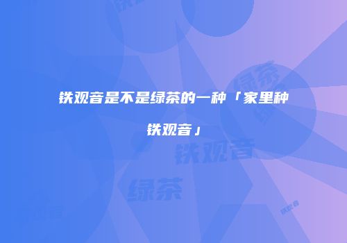 铁观音是不是绿茶的一种「家里种铁观音」