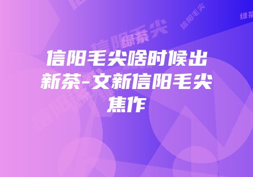 信阳毛尖啥时候出新茶-文新信阳毛尖焦作