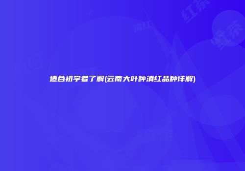 适合初学者了解(云南大叶种滇红品种详解)