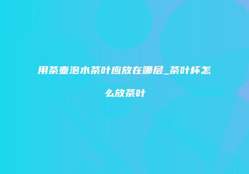 用茶壶泡水茶叶应放在哪层_茶叶杯怎么放茶叶