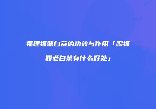 福建福鼎白茶的功效与作用「喝福鼎老白茶有什么好处」