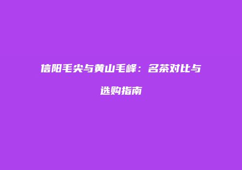 信阳毛尖与黄山毛峰：名茶对比与选购指南