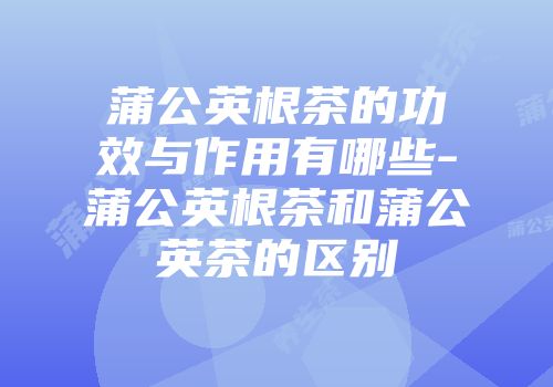 蒲公英根茶的功效与作用有哪些-蒲公英根茶和蒲公英茶的区别