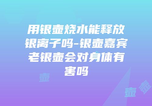 用银壶烧水能释放银离子吗-银壶嘉宾老银壶会对身体有害吗