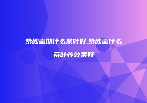 紫砂壶沏什么茶叶好,紫砂壶什么茶叶养效果好