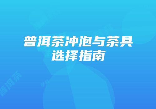 普洱茶冲泡与茶具选择指南