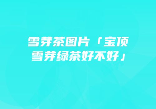 雪芽茶图片「宝顶雪芽绿茶好不好」
