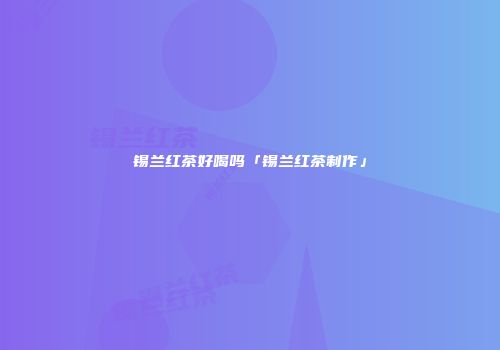 锡兰红茶好喝吗「锡兰红茶制作」