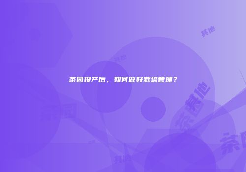 茶园投产后，如何做好栽培管理？