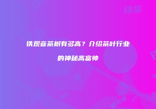 铁观音茶树有多高？介绍茶叶行业的神秘高富帅