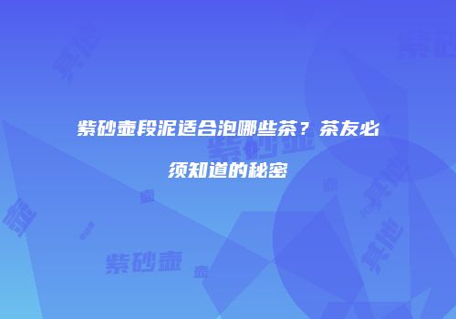 紫砂壶段泥适合泡哪些茶？茶友必须知道的秘密