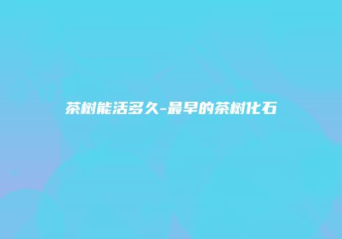 茶树能活多久-最早的茶树化石