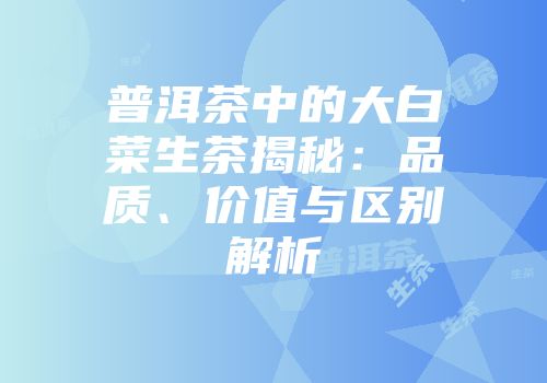 普洱茶中的大白菜生茶揭秘：品质、价值与区别解析