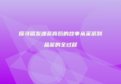 探寻碣发滩茶背后的故事从采茶到品鉴的全过程