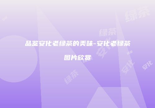 品鉴安化老绿茶的美味-安化老绿茶图片欣赏